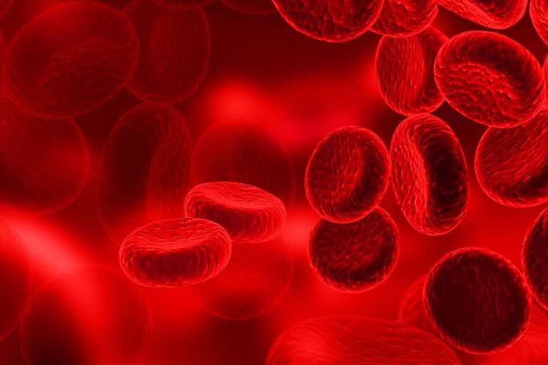 FDA Approves Blood Plasma as Covid-19 Treatment