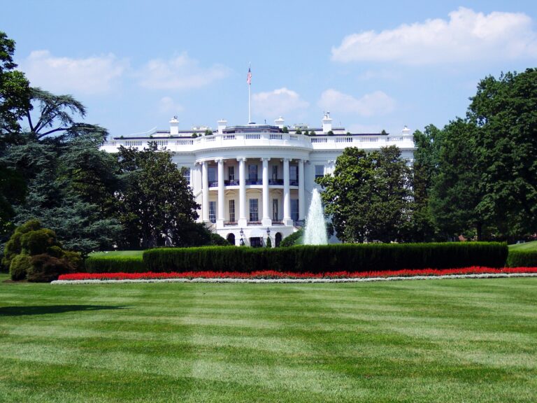 Don’t Trust the Cabinet, Trust the Market